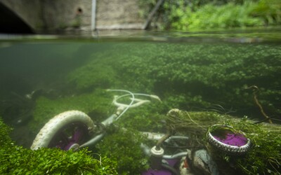 An underwater photo showing a submerged child's tricycle surrounded by green water weed.