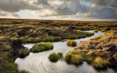 A pool of water on the moorlands of hte high Oeak District, Tufts of grass and sunglght reflecting from the water. A cloudy sky.
