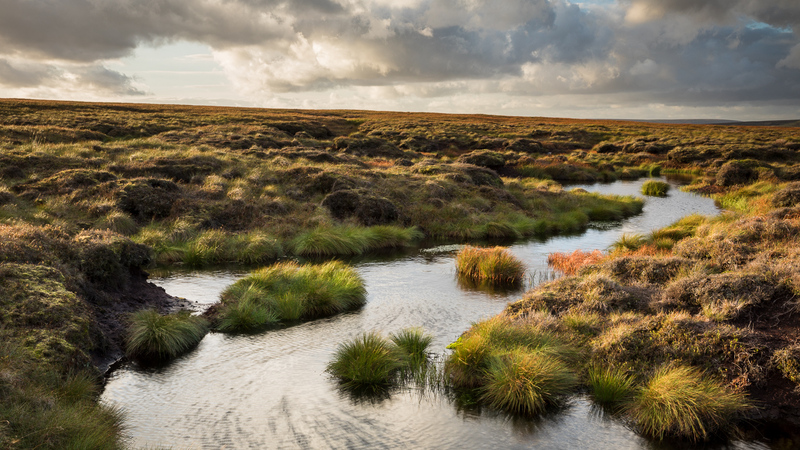 A pool of water on the moorlands of hte high Oeak District, Tufts of grass and sunglght reflecting from the water. A cloudy sky.