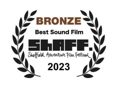 Best sound film bronze