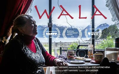Poster image for the film Wala