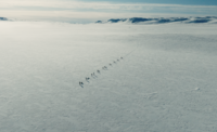 11 skiers crossing an icy plateau
