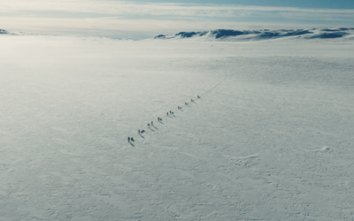 11 skiers crossing an icy plateau