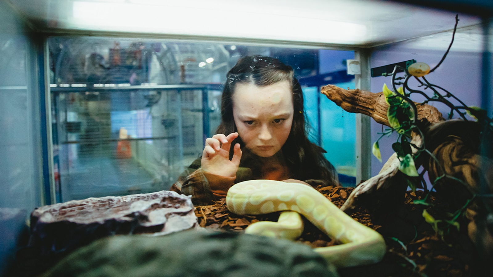 Tegan taps on the glass of a snake tank in a scene from PREDATORS