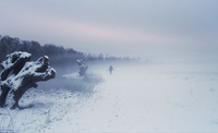 Man standing in foggy snowy landscape 