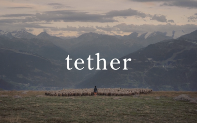 Lois, the shepherd, shown on a mountain top vista with her sheep. 