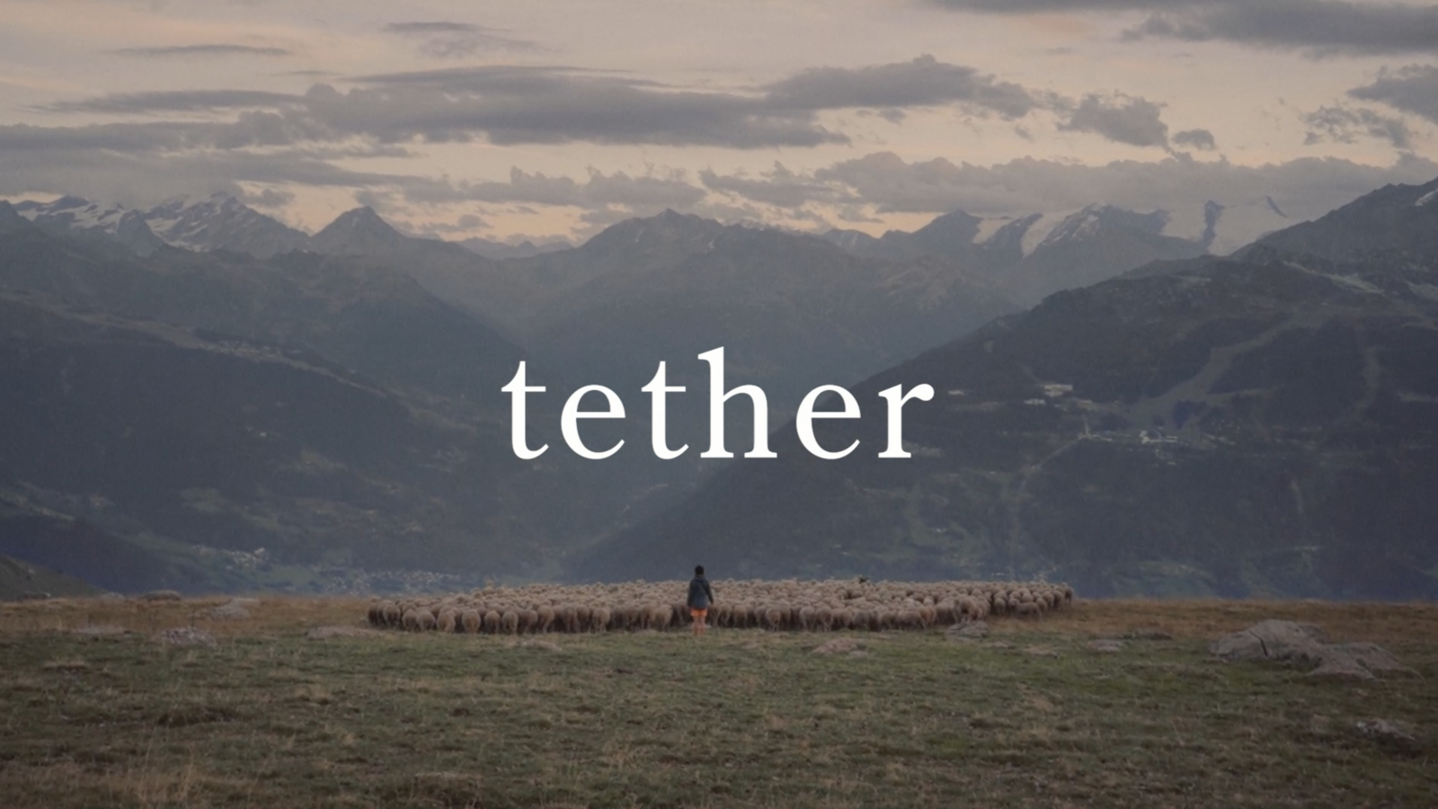 Lois, the shepherd, shown on a mountain top vista with her sheep. 