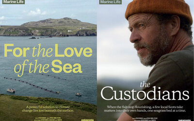 Two film posters sit side by side. On the left is "For The Love of Sea" and on the right is "The Custodians"