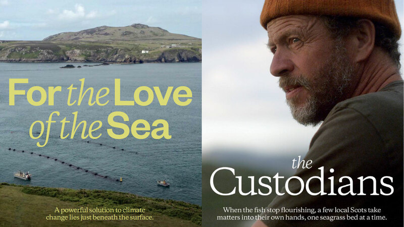 Two film posters sit side by side. On the left is "For The Love of Sea" and on the right is "The Custodians"