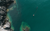 Aerial view of spearfisherman in ocean preparing to dive