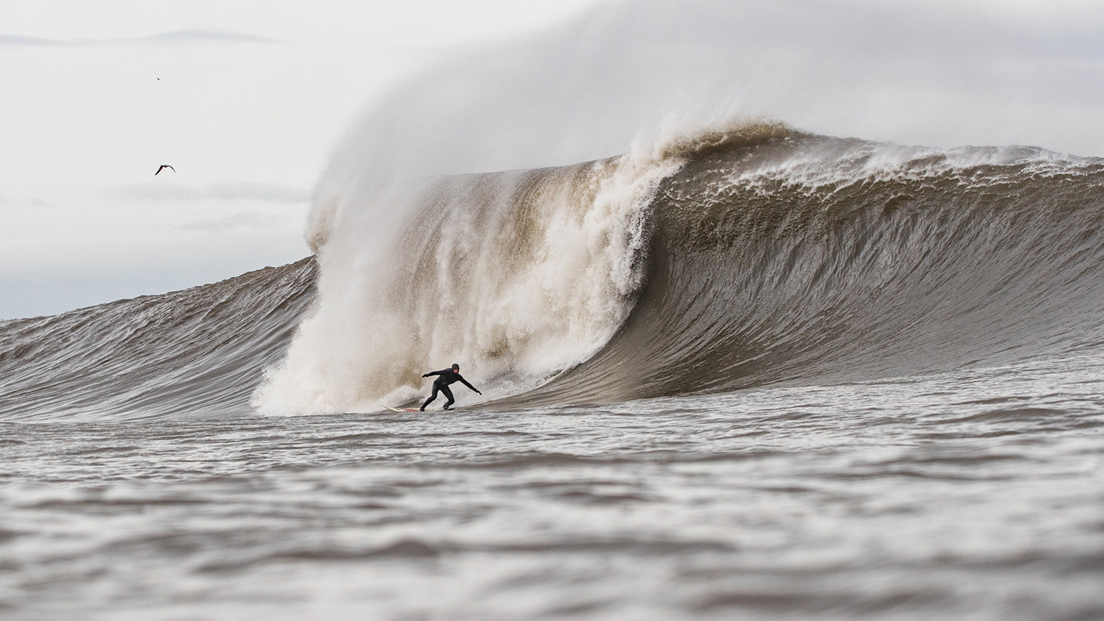 North Sea Surfer Sandy Kerr charges a huge wave wearing a natural rubber wetsuit