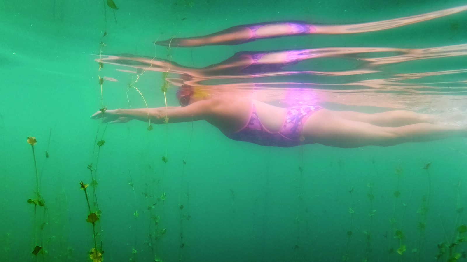 Melanie, a white woman in a brighly patterned swimsuit glides under the surface of a lake, her arms stretched out front, legs gently kicking up bubbles behind. Leafy tendrils rise up from the bottom, surrounding her body, which is reflected on the underside of the lake above her.
