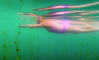 Melanie, a white woman in a brighly patterned swimsuit glides under the surface of a lake, her arms stretched out front, legs gently kicking up bubbles behind. Leafy tendrils rise up from the bottom, surrounding her body, which is reflected on the underside of the lake above her.