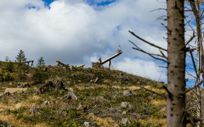 Gee Atherton and his Atherton Bike S200 poised on a wooden feature ready to take omn the windfell run 