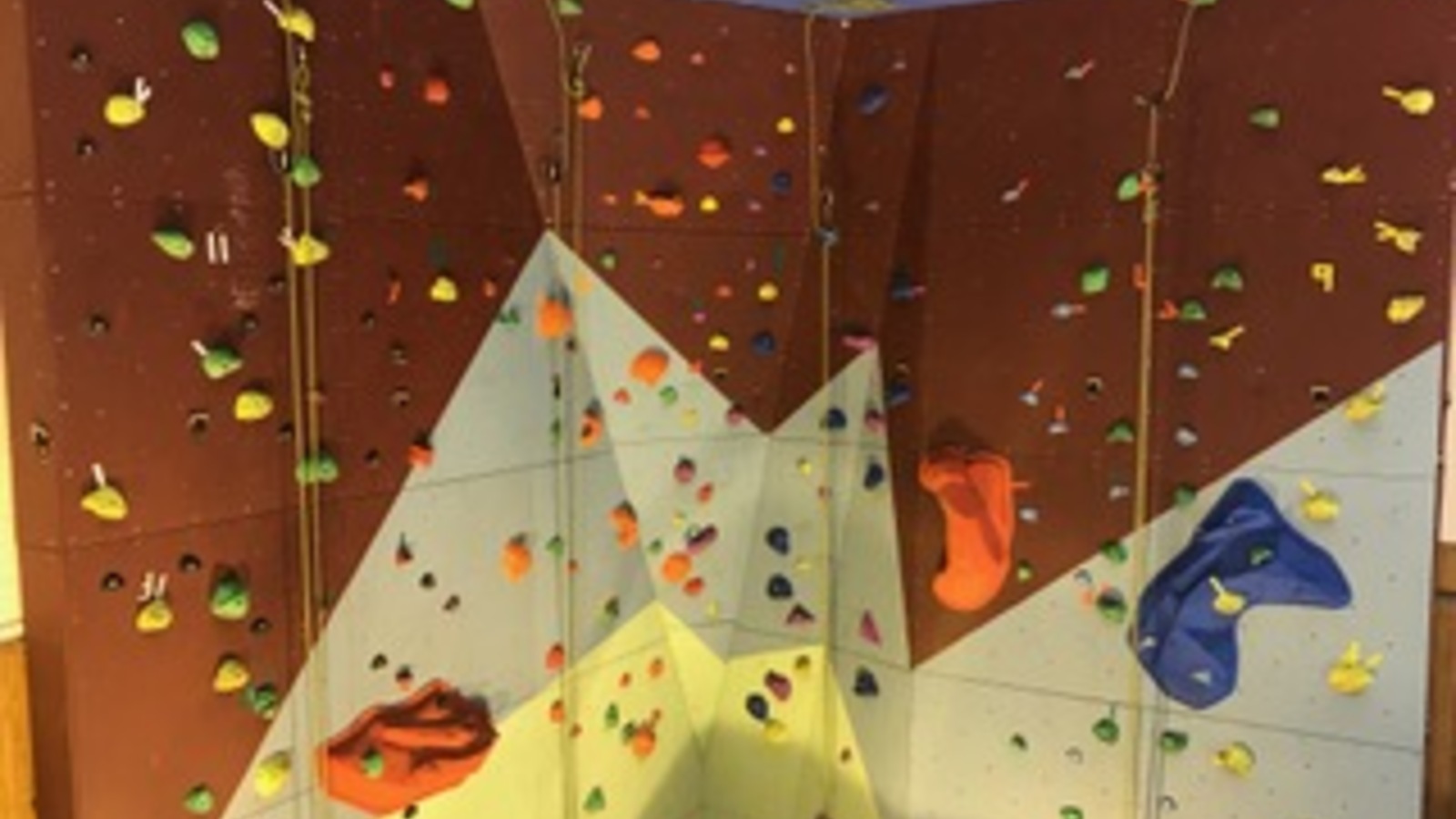 ropes hang down an empty indoor climbing wall